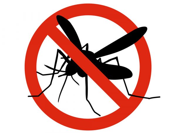 Tanácsok magánszemélyek szúnyogok elleni védekezéséhez
