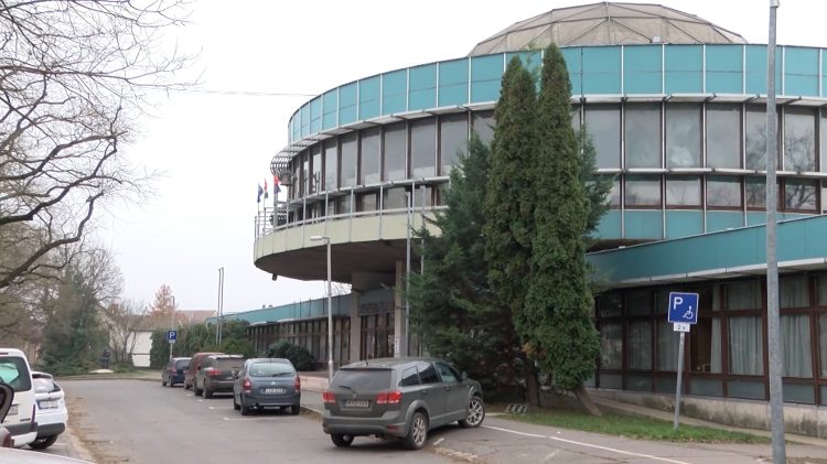 Frakk, a macskák réme