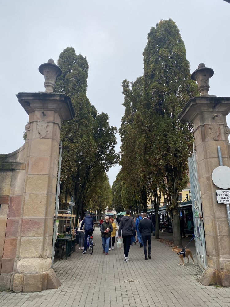 Nem tudja a helyi Fidesz elnöke, hogy az előző városvezetés vette el a belvárosi piac üzemeltetését Vác Piac Kft.-től