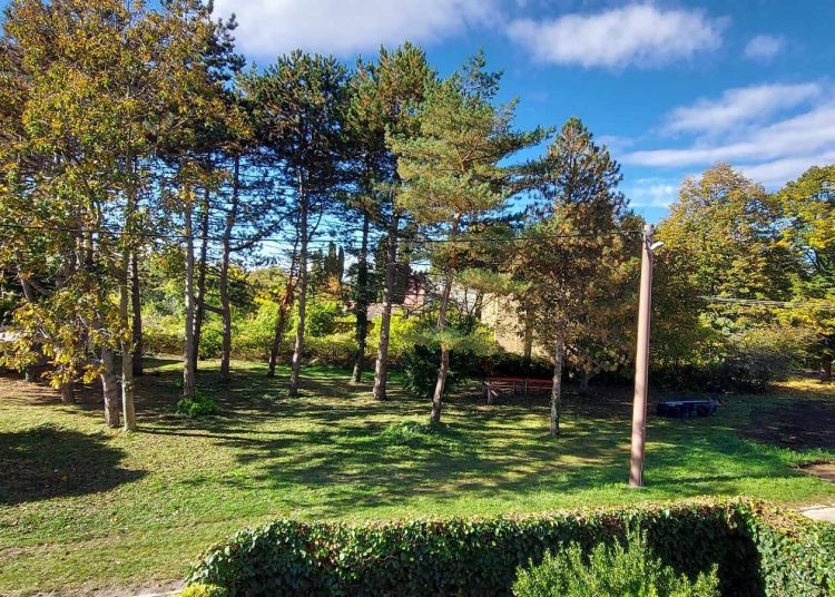 Épül a Párta utcai parkoló (képgaléria)