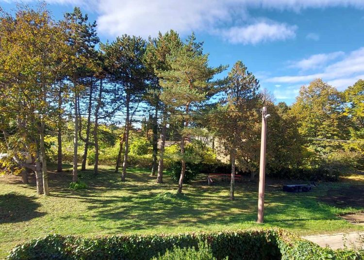 Épül a Párta utcai parkoló (képgaléria)