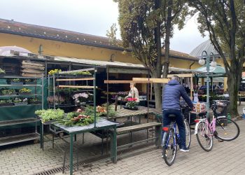 Nem tudja a helyi Fidesz elnöke, hogy az előző városvezetés vette el a belvárosi piac üzemeltetését Vác Piac Kft.-től