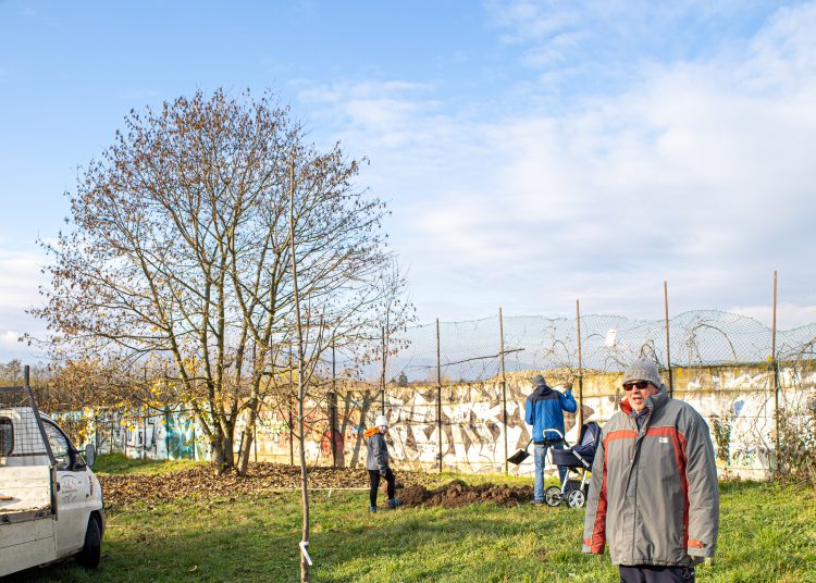 Idén november 10-11-én lesz a közösségi faültetés (képgaléria)