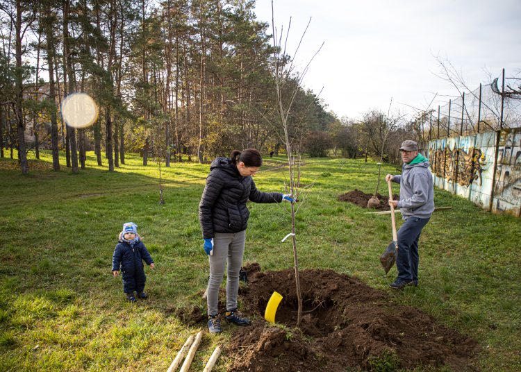 Idén november 10-11-én lesz a közösségi faültetés (képgaléria)