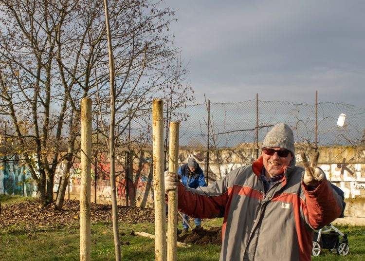 Idén november 10-11-én lesz a közösségi faültetés (képgaléria)