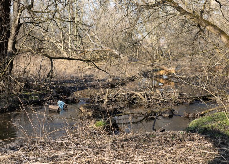 Újabb célozgatás a leromlott ártéri tanösvény miatt, a Fidelitas azt sugallja, az önkormányzat a felelős