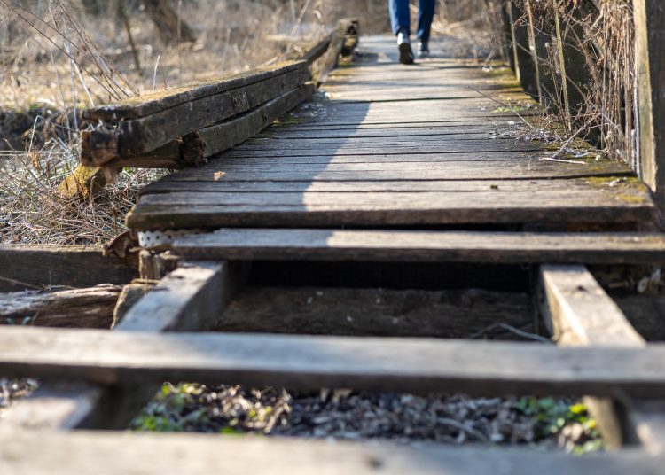 Újabb célozgatás a leromlott ártéri tanösvény miatt, a Fidelitas azt sugallja, az önkormányzat a felelős