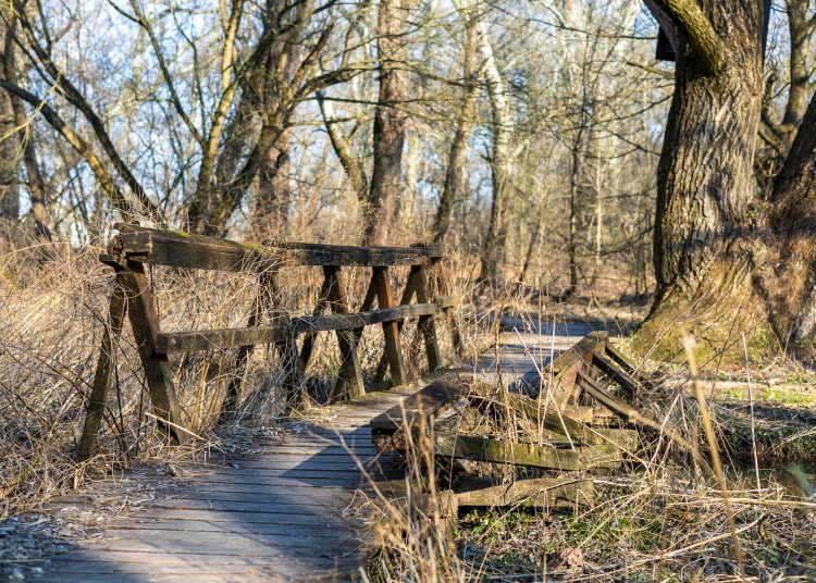Újabb célozgatás a leromlott ártéri tanösvény miatt, a Fidelitas azt sugallja, az önkormányzat a felelős