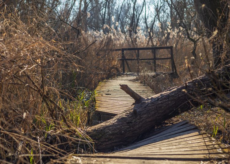 Újabb célozgatás a leromlott ártéri tanösvény miatt, a Fidelitas azt sugallja, az önkormányzat a felelős