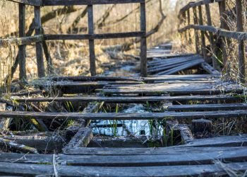 Újabb célozgatás a leromlott ártéri tanösvény miatt, a Fidelitas azt sugallja, az önkormányzat a felelős