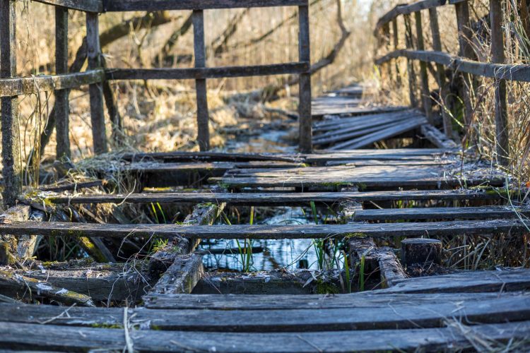 Újabb célozgatás a leromlott ártéri tanösvény miatt, a Fidelitas azt sugallja, az önkormányzat a felelős