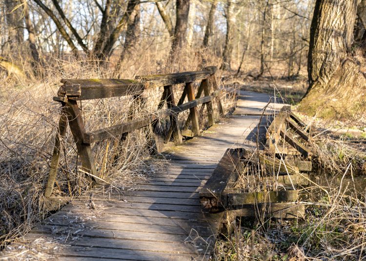 Újabb célozgatás a leromlott ártéri tanösvény miatt, a Fidelitas azt sugallja, az önkormányzat a felelős