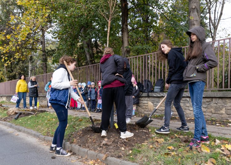 150 fát ültettek el Vácon két nap alatt
