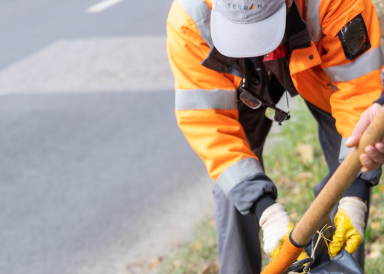 150 fát ültettek el Vácon két nap alatt