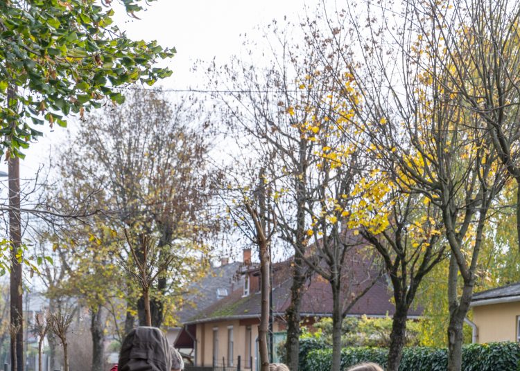 150 fát ültettek el Vácon két nap alatt