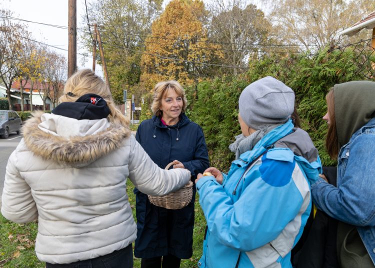 150 fát ültettek el Vácon két nap alatt