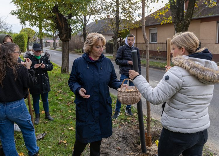 150 fát ültettek el Vácon két nap alatt