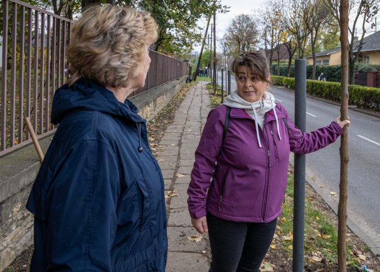 150 fát ültettek el Vácon két nap alatt