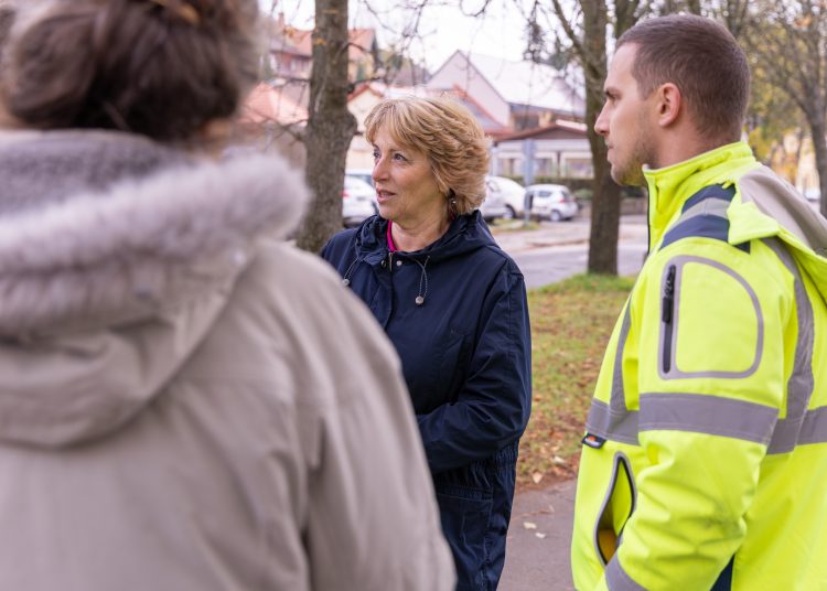 150 fát ültettek el Vácon két nap alatt