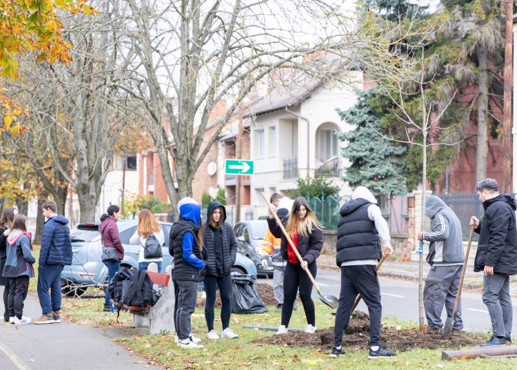 150 fát ültettek el Vácon két nap alatt