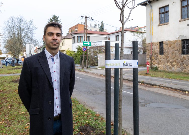 150 fát ültettek el Vácon két nap alatt