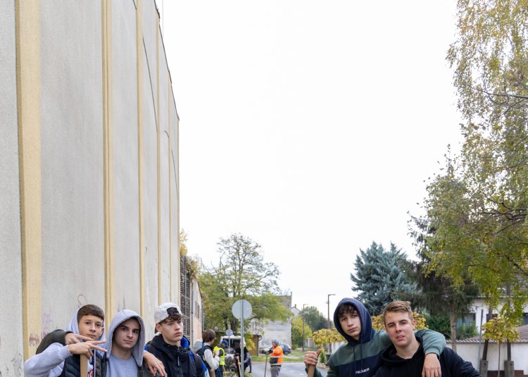 150 fát ültettek el Vácon két nap alatt