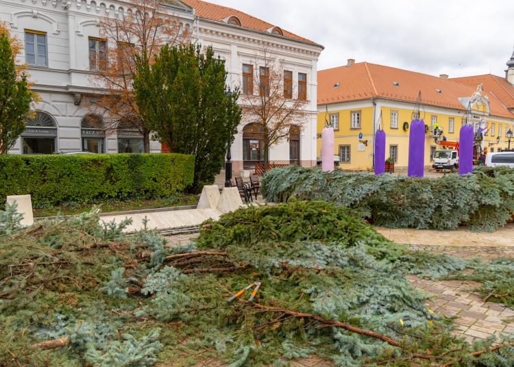 Megérkezett Vác karácsonyfája (képgaléria)