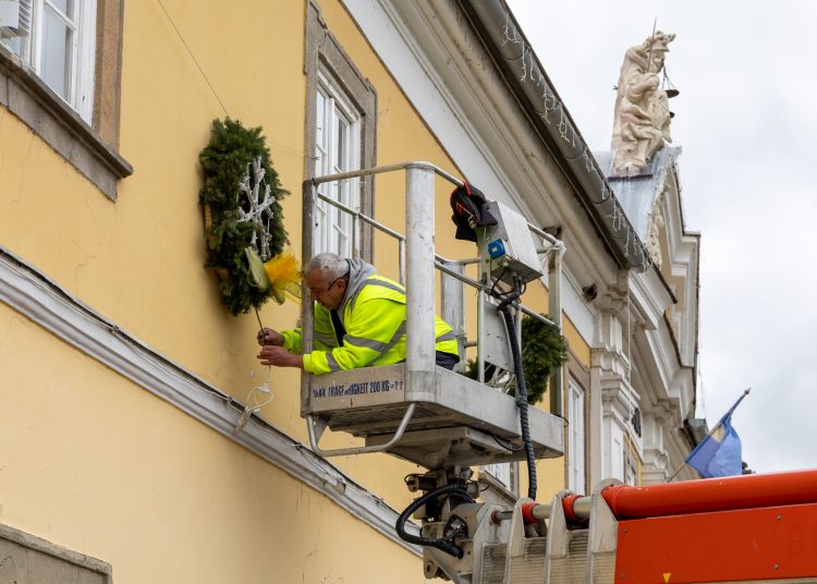 Megérkezett Vác karácsonyfája (képgaléria)