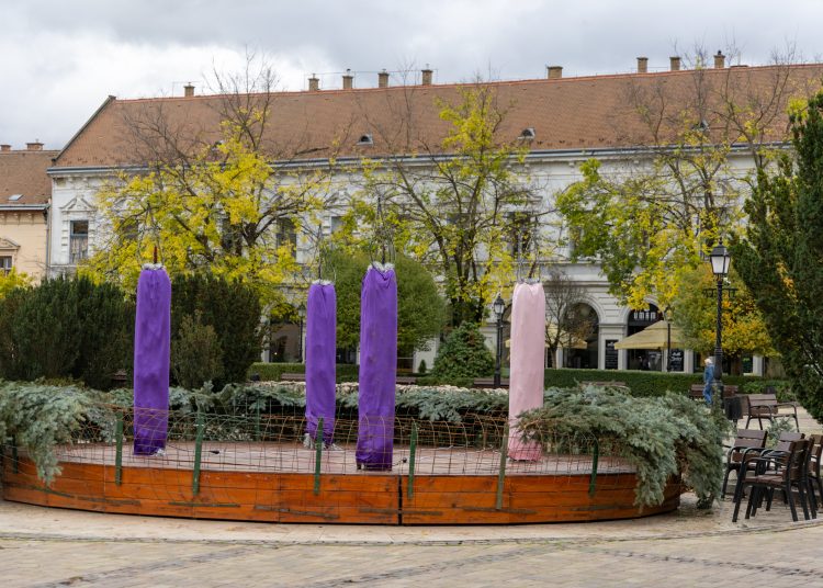 Megérkezett Vác karácsonyfája (képgaléria)