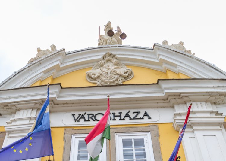 Megérkezett Vác karácsonyfája (képgaléria)