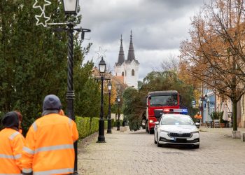Megérkezett Vác karácsonyfája (képgaléria)