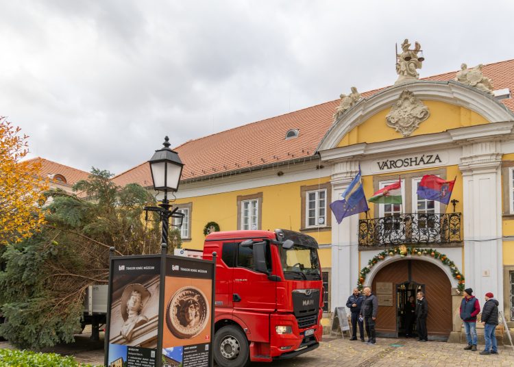 Megérkezett Vác karácsonyfája (képgaléria)