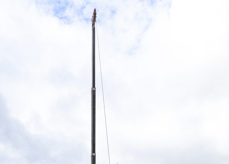 Megérkezett Vác karácsonyfája (képgaléria)