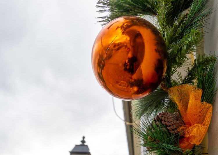 Megérkezett Vác karácsonyfája (képgaléria)