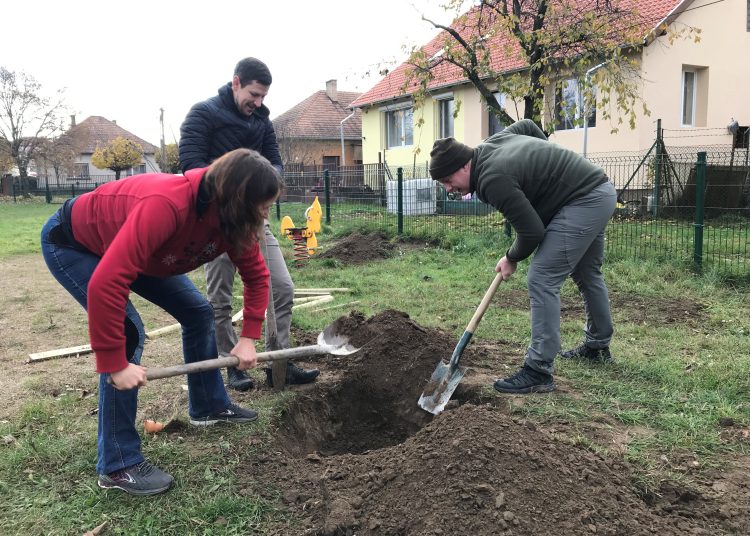 Idén november 10-11-én lesz a közösségi faültetés (képgaléria)