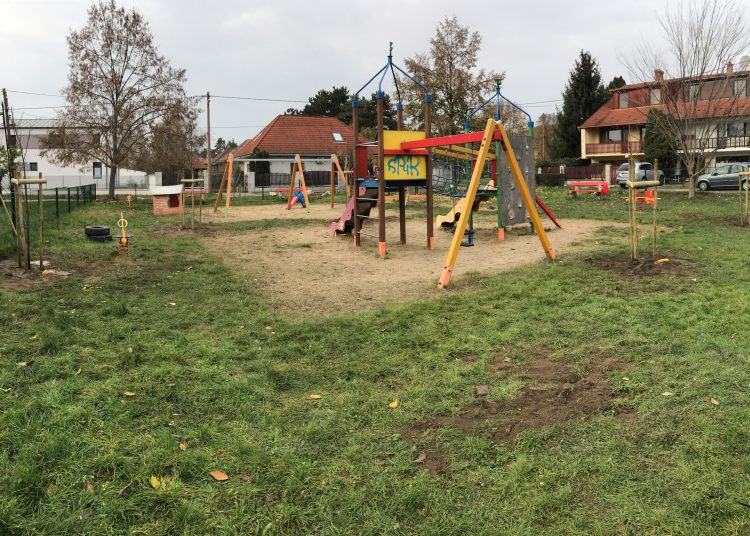 Idén november 10-11-én lesz a közösségi faültetés (képgaléria)