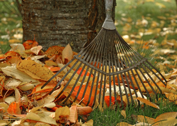 Elindult az őszi lombtakarítás