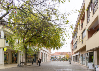 Kirakatok versenyeznek, meghosszabbították a jelentkezést