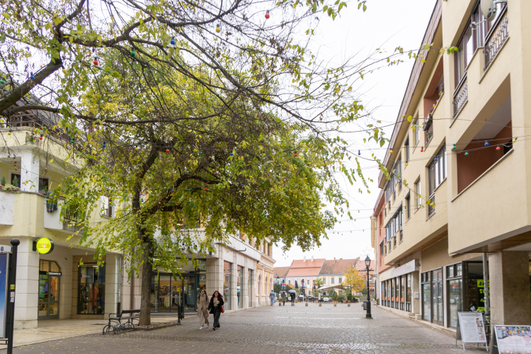 Kirakatok versenyeznek, meghosszabbították a jelentkezést