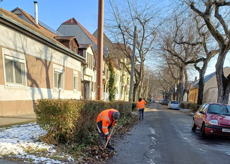 Tovább folytatta a lombtakarítást városszerte a Váci Városfejlesztő