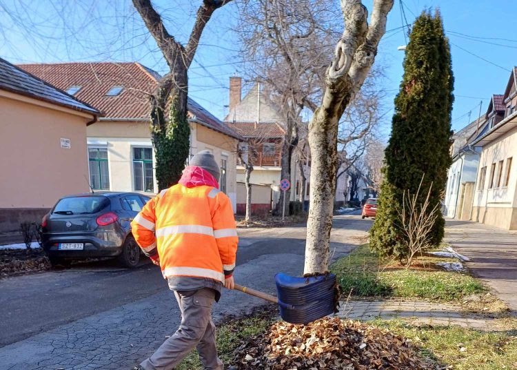 Tovább folytatta a lombtakarítást városszerte a Váci Városfejlesztő