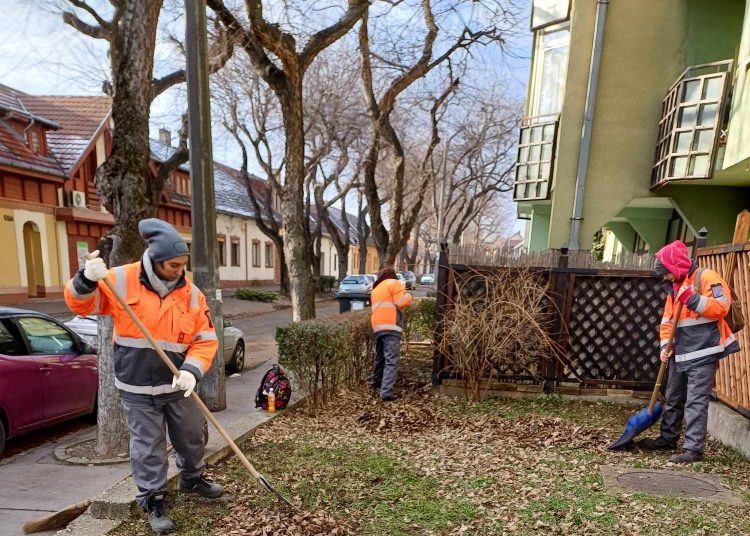 Tovább folytatta a lombtakarítást városszerte a Váci Városfejlesztő