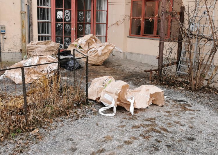 Tovább folytatta a lombtakarítást városszerte a Váci Városfejlesztő