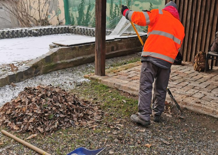 Tovább folytatta a lombtakarítást városszerte a Váci Városfejlesztő