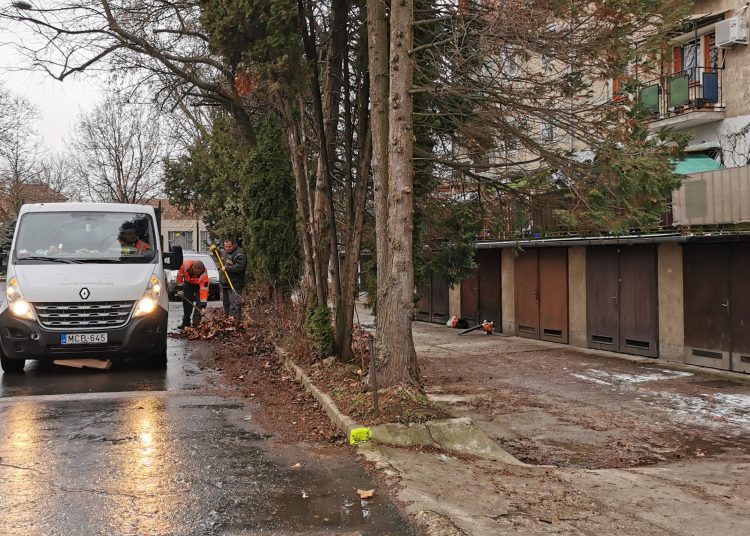 Galéria: Vác több pontján is lombtakarítást végzett a városfejlesztő