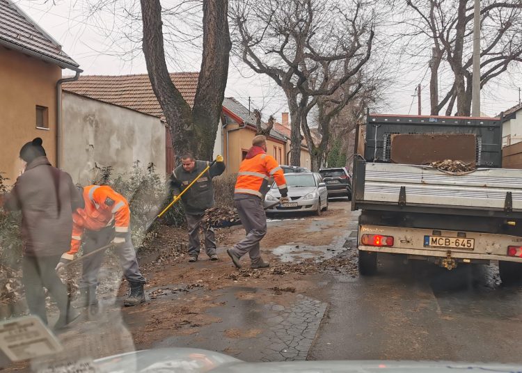 Galéria: Vác több pontján is lombtakarítást végzett a városfejlesztő