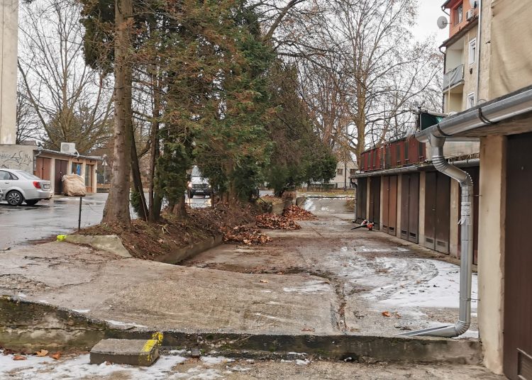 Galéria: Vác több pontján is lombtakarítást végzett a városfejlesztő