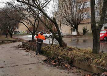 Galéria: Vác több pontján is lombtakarítást végzett a városfejlesztő