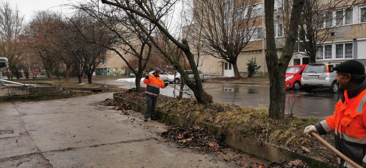 Galéria: Vác több pontján is lombtakarítást végzett a városfejlesztő
