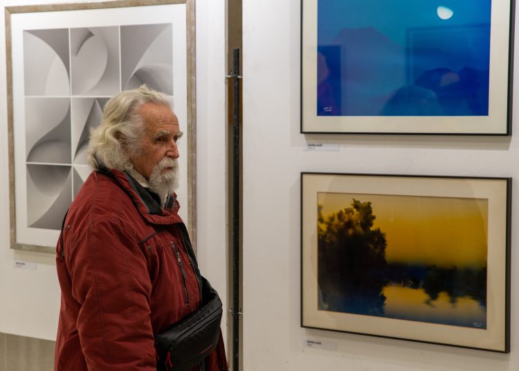 A magyar kultúra napja. Ünnepség Vácon (képgaléria)